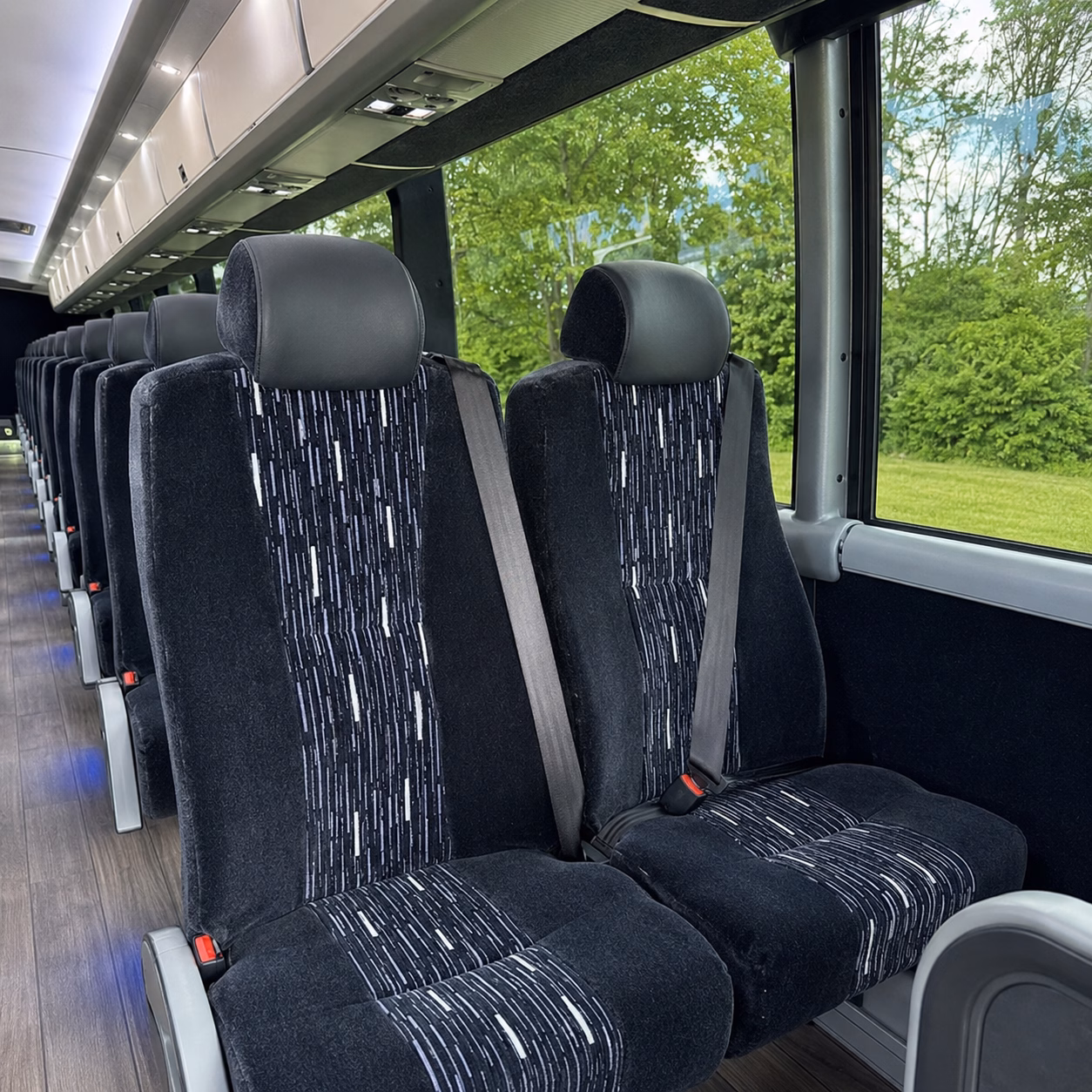 through a network of bus companies find the perfect ride to grapefull sisters vineyard